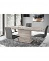 Mesa comedor extensible pata central THEO